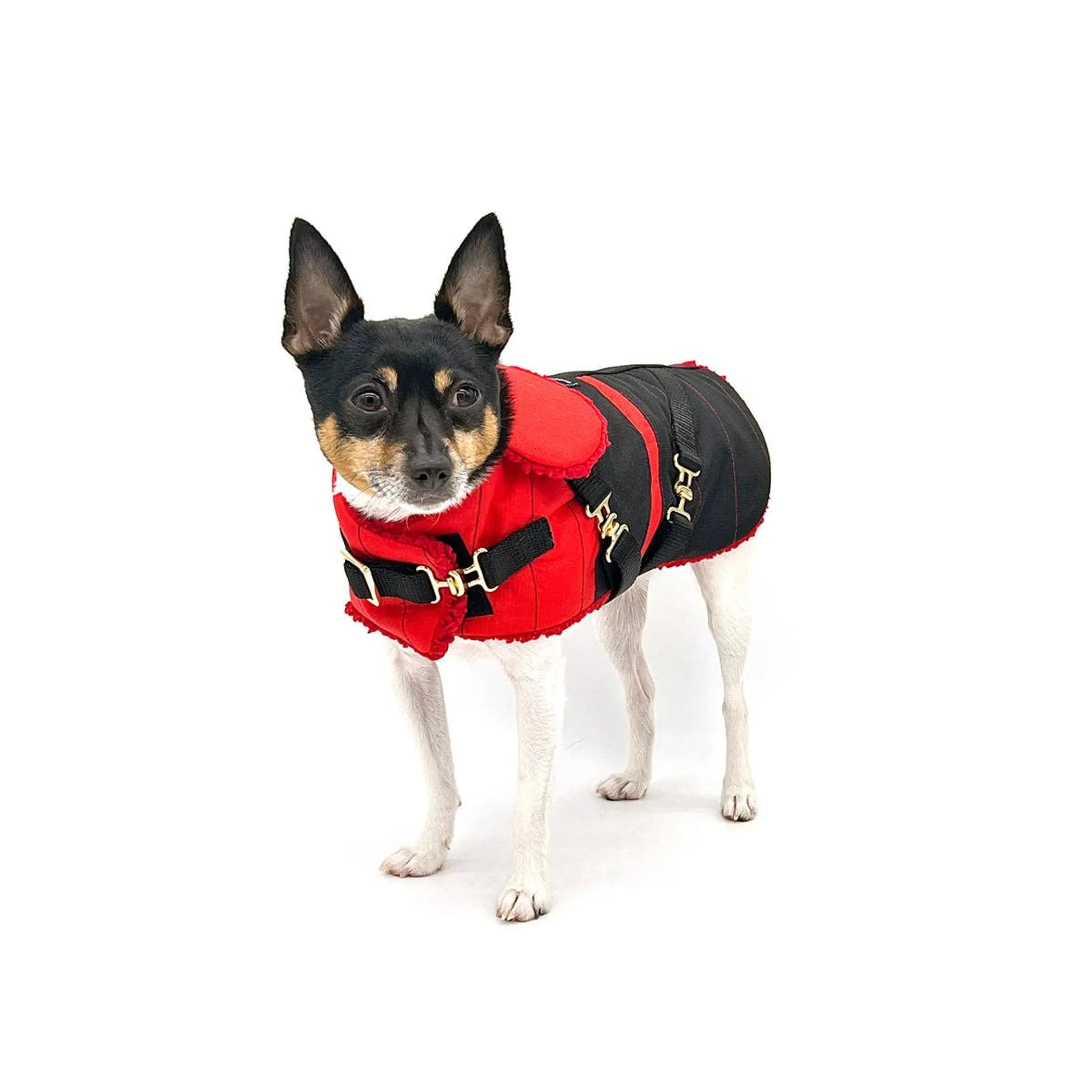 Ruby Red Equestrian Gear: Stylish Dog Coat Guide